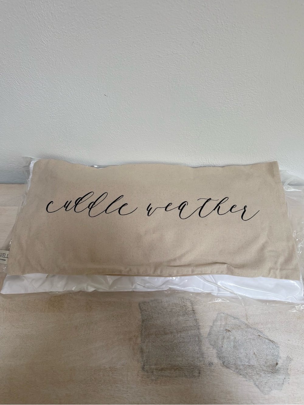 Cuddle Weather Decorative Neutral Pillow